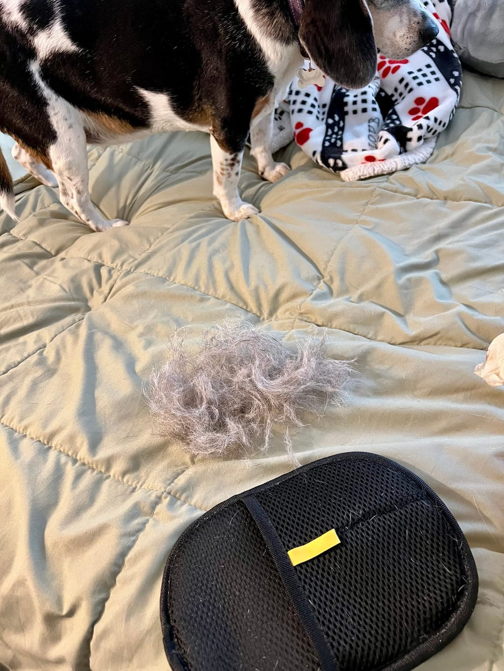 <h2>Loved by everyone, everywhere. Don't miss out.</h2>