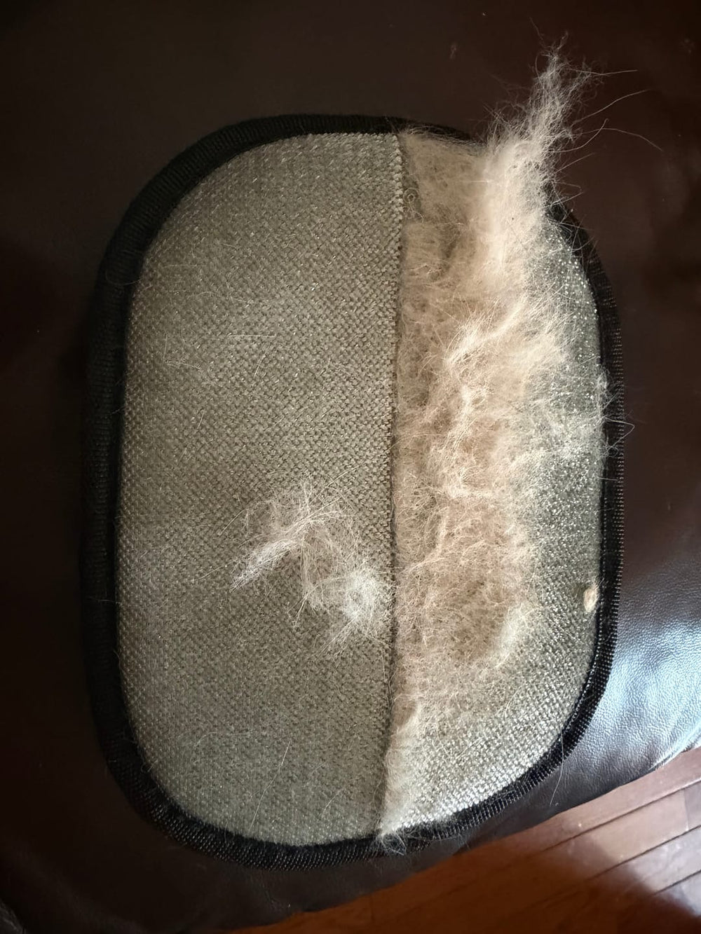 <h2>Loved by everyone, everywhere. Don't miss out.</h2>