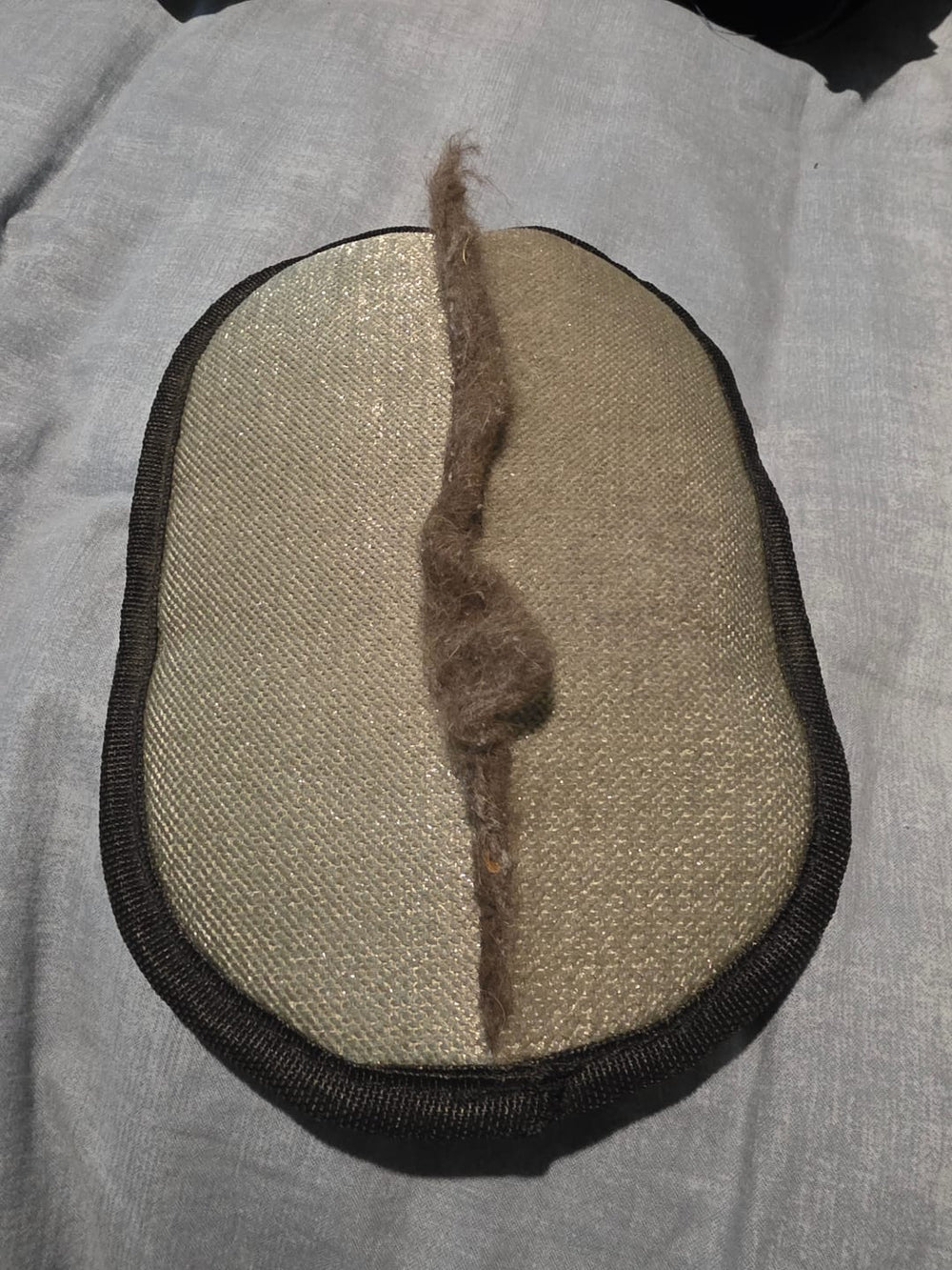 <h2>Loved by everyone, everywhere. Don't miss out.</h2>