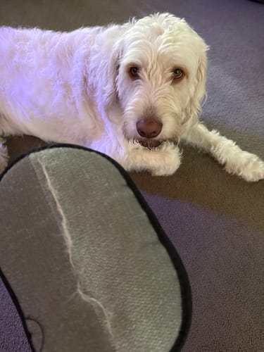 <h2>Loved by everyone, everywhere. Don't miss out.</h2>