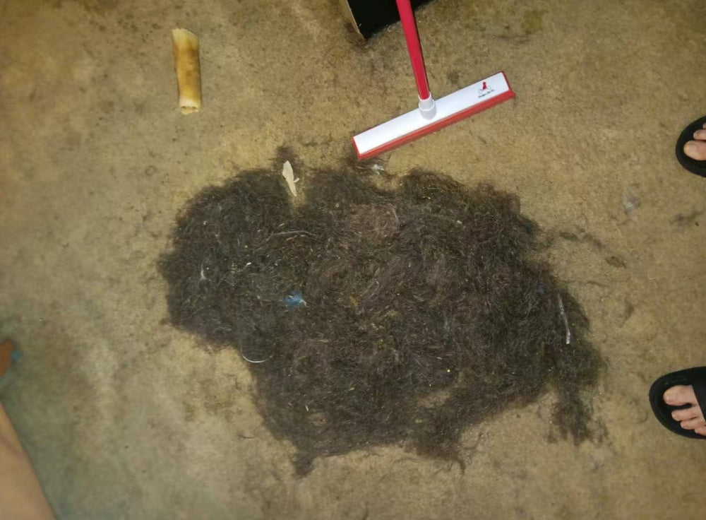 <h2>Loved by everyone, everywhere. Don't miss out.</h2>