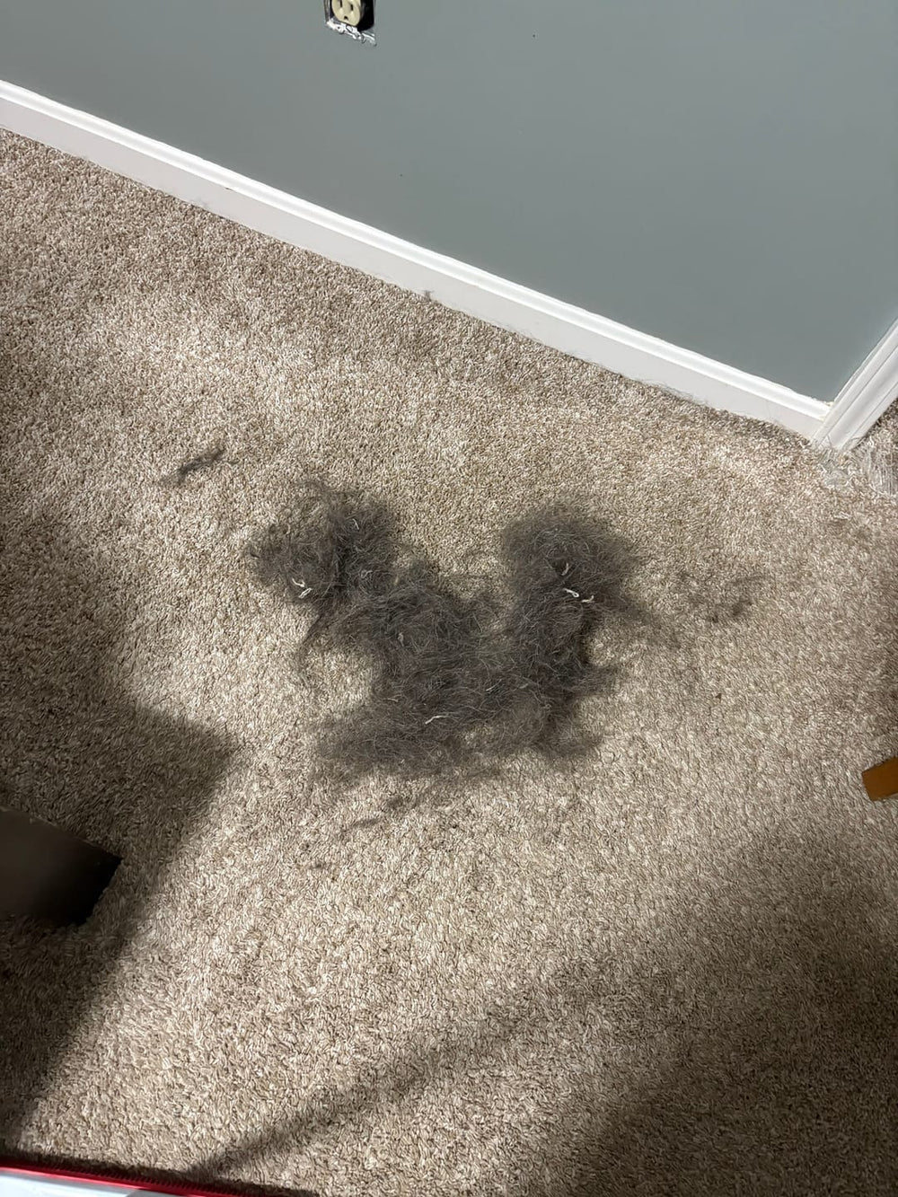 <h2>Loved by everyone, everywhere. Don't miss out.</h2>