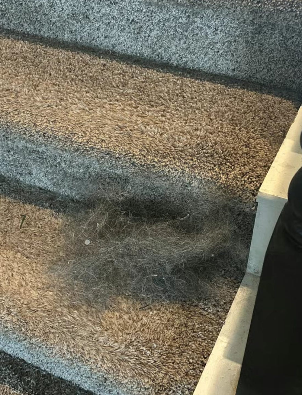 <h2>Loved by everyone, everywhere. Don't miss out.</h2>