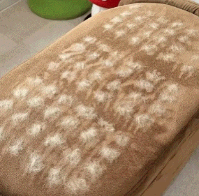 FeliFur Pet Hair Brush