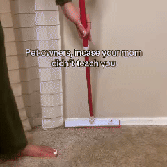 FeliFur Fur Sweep Pro