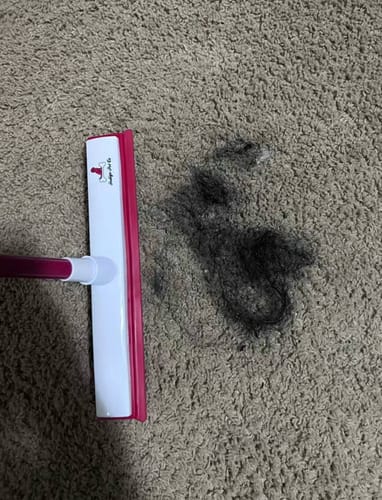 <h2>Loved by everyone, everywhere. Don't miss out.</h2>